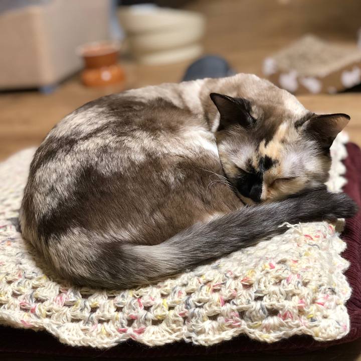 Ba9374df 3dfe 4090 aecf caa0d000ee25 1672667304565