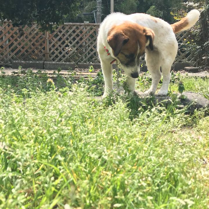 Ba9399cc 3f62 4d82 9785 bda47c4c88ff 1522557269082