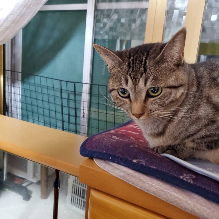 Ba93cf9d a92a 419f 83a0 ac69a5114192 1694354958494