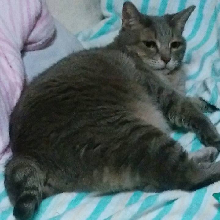 Ba93dcbe 13a0 4232 a6bf d292967f3bf6 1569320561699