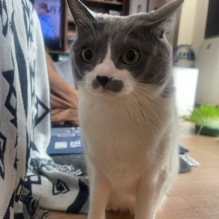 Ba93e7a4 ada2 47f4 b72f 468e28024455 1739514210845