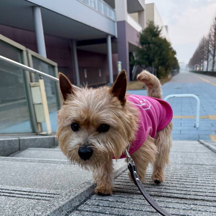 Ba93ef62 8c0b 43e2 9aec 9153a3302b1b 1771218553035