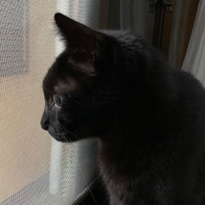 Ba943101 e9f7 41d8 8d3e ad4adbe5d405 1600997001529