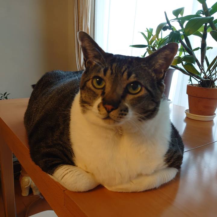 Ba9444d3 6ee2 4093 a6a3 1b890a15323a 1585612539664