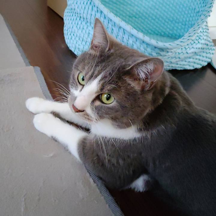 Ba944d3f 8383 4c4b 9576 d13199a86568 1681337633777