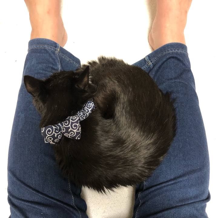 Ba9469c1 d99a 4945 941a 3ada2747e2d5 1578220303555