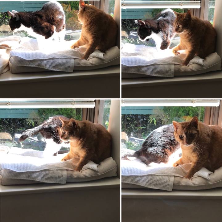 Ba946a5e 791e 4ce6 8c47 13f07b413552 1524716385896