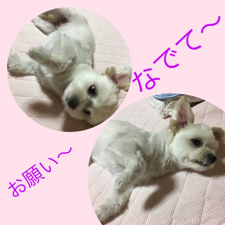 Ba947c49 edae 41e7 b678 6b71ad6e582c 1535540844277