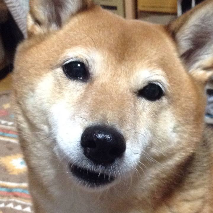 Ba94b439 c4a9 446f a293 842ff672da80 1542364258402