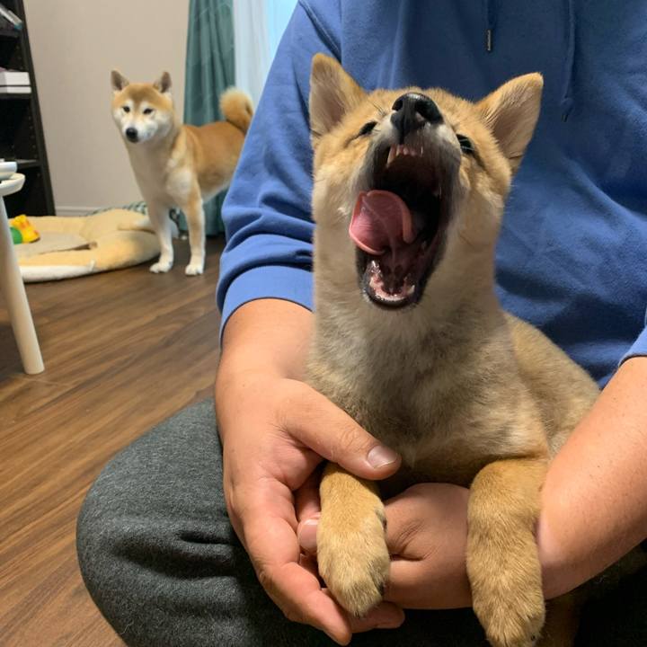 Ba95443b a132 407e af39 a800c02c7a40 1635737627545