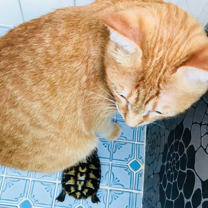 Ba95911a 77fb 45a6 b3ba da97668b5592 1531831890495