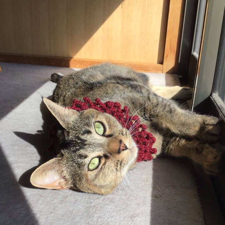 Ba959a3a ff99 4a9c 91e8 162a5499e8be 1614147134631