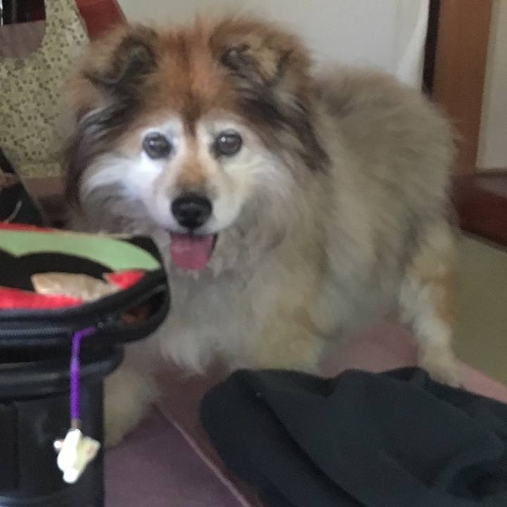 Ba95a4c9 8c0c 47e4 8fc1 2dab73a8f566 1599725758876