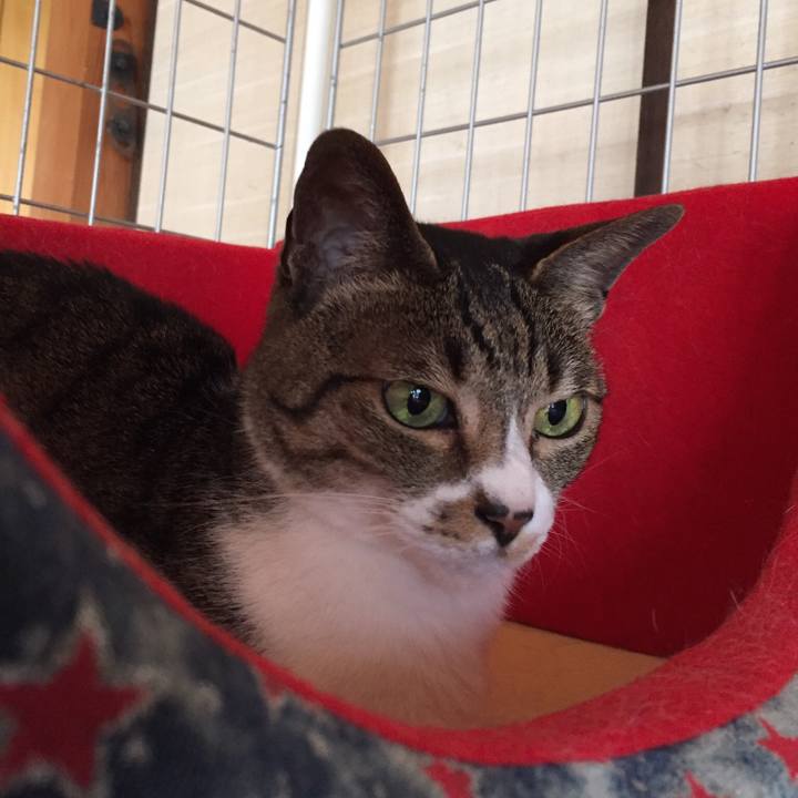 Ba95c99c 2520 491c a0af e58c6208cc7e 1528171593726