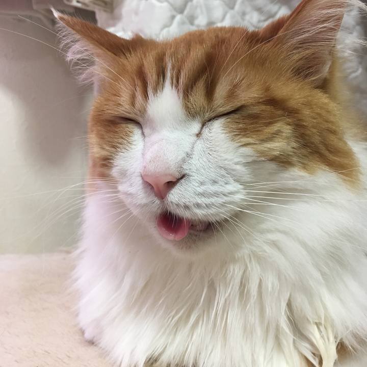 Ba95cea1 9ae7 42cf bf78 5236eaf79616 1553488202472