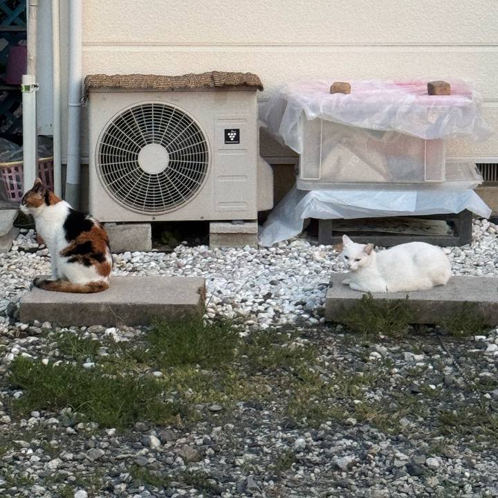 Ba95d523 9542 46ef 8f2d 181f93d441e7 1755651901861