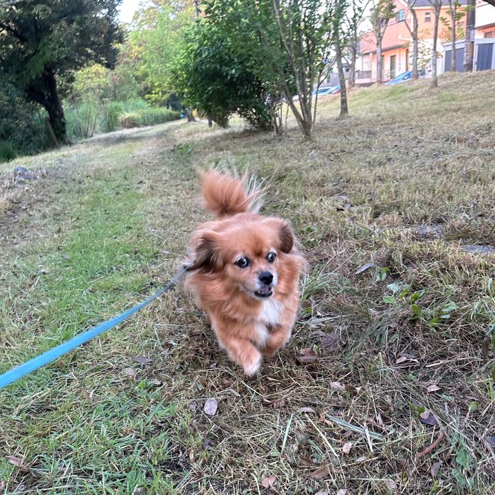 Ba95dbff ff97 40c0 be22 ebff8574b312 1725484622302