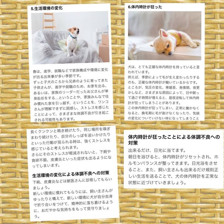 Ba95f798 f1c8 4b05 ab9f 185efa9ced7f 1521386810873