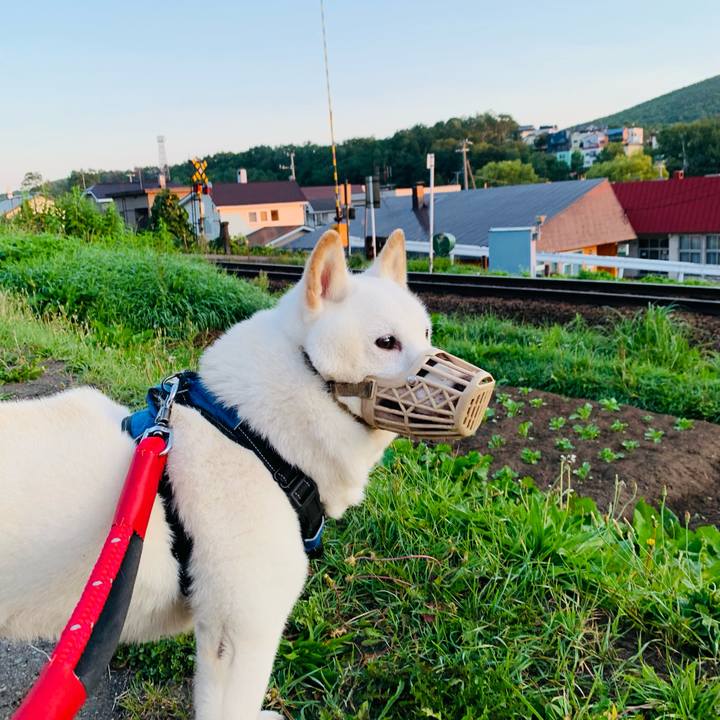 Ba96354a 9ba8 4b2b 8e28 03aa2b173e8c 1662670717039