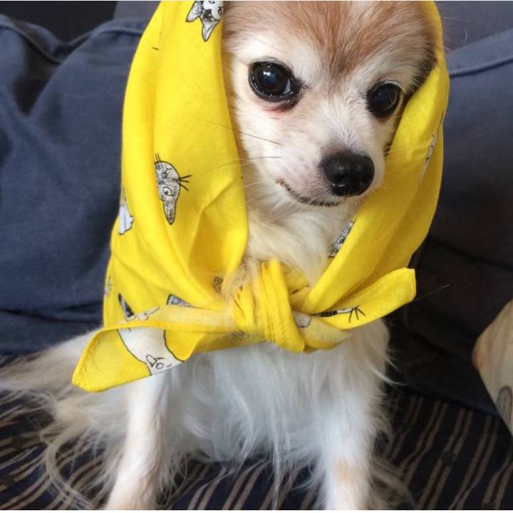 Ba967279 2daa 425f 8541 7343b795bc2c 1622859790813