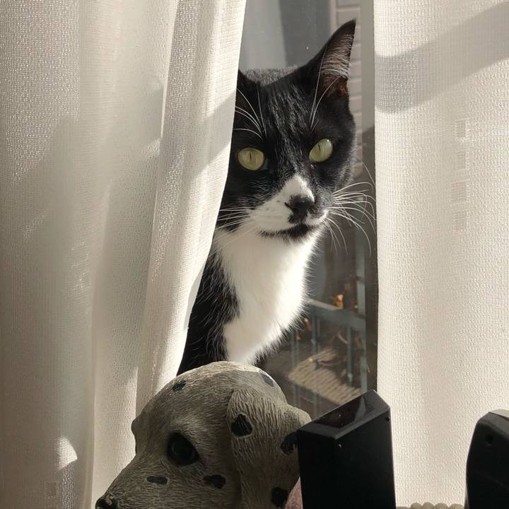 Ba968327 c150 4cd3 b8c5 ab924ebc1e4c 1604893494621