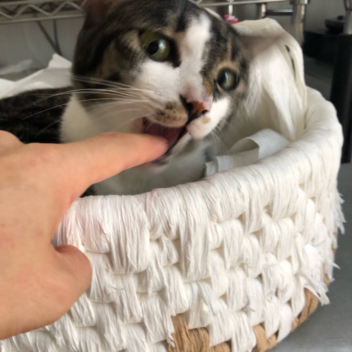 Ba968868 b8ac 474c 8bb2 f4fed637d96b 1566266909785