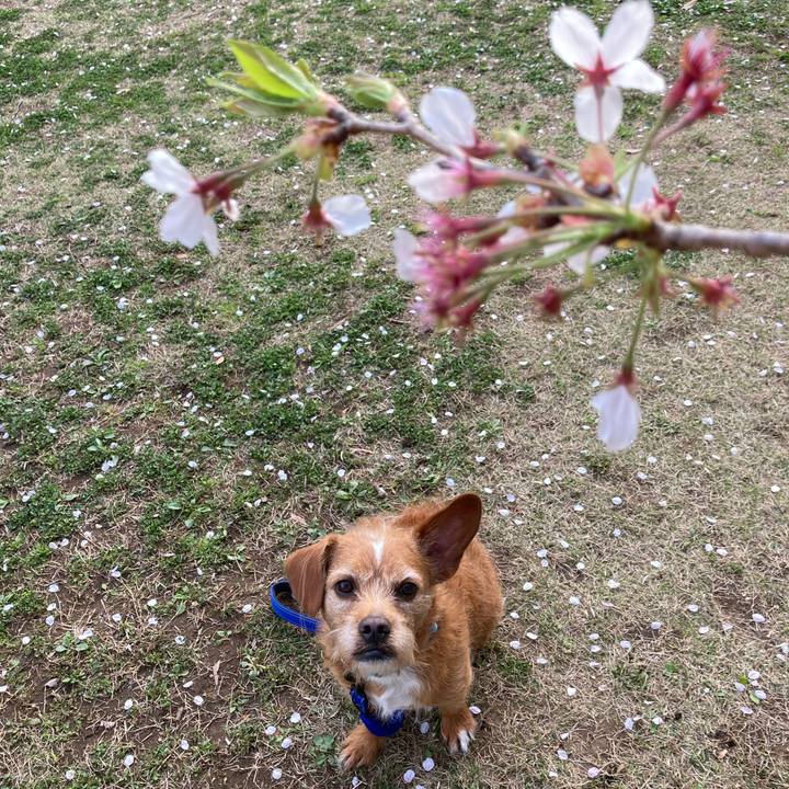 Ba968dcb 2ce7 43a7 a373 69e6bca7fc8b 1616891115336