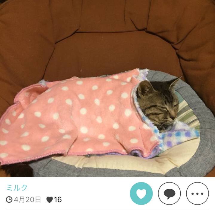 Ba96d9c9 05f5 4944 9d97 1d17838e4acf 1511690178975