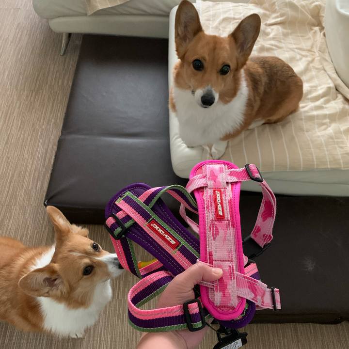 Ba96df54 58aa 4801 8a26 a68958649ffa 1583468188979