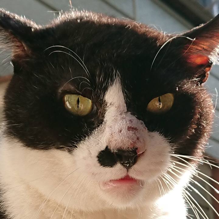 Ba9720fe 00af 4803 98c2 5fbac1beaffc 1535367383435