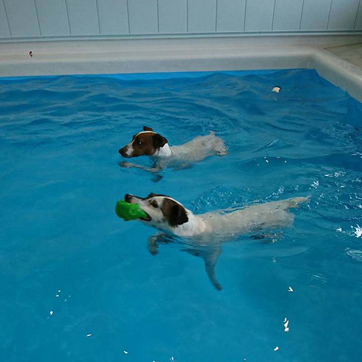 Ba972de2 ee3e 492d 9613 8c831a3b5d42 1598844899494