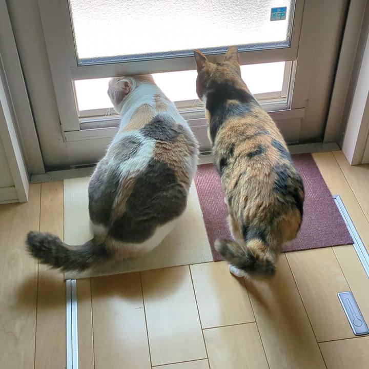 Ba9743b2 a50d 4d09 ae8e e52e754309cb 1684898855706