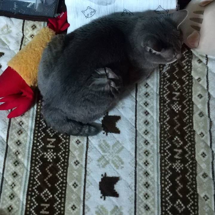 Ba974543 1414 45db 8dbf 62434cd284b4 1678531419428