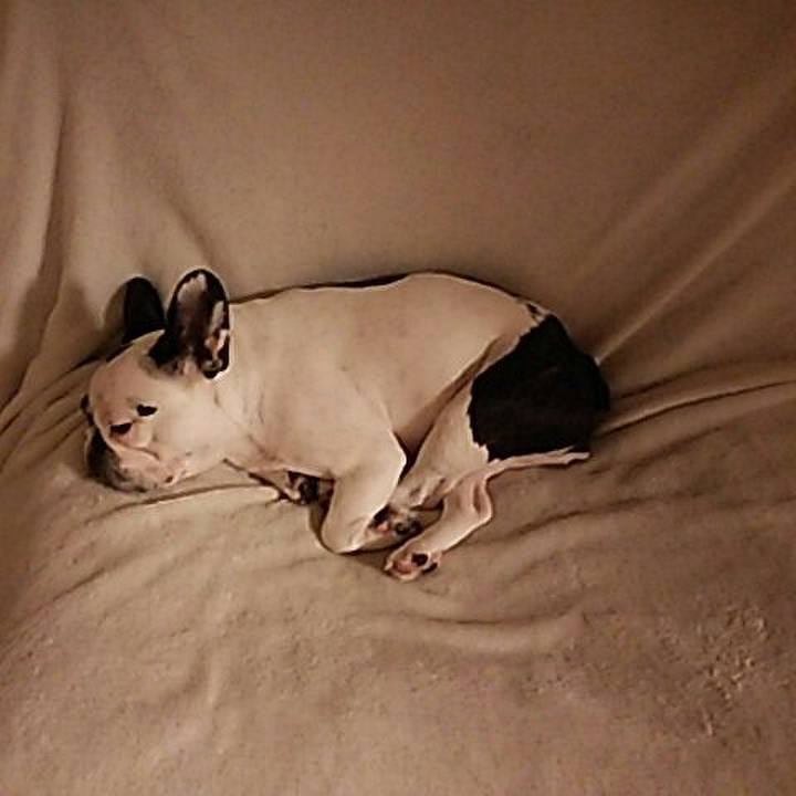 Ba979c0d eadb 4b6c 9b1f 4deea9e1df66 1527338639529