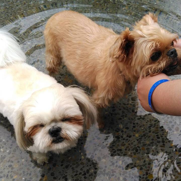 Ba97b665 01fb 43c0 8678 3414e565f02e 1624772817728