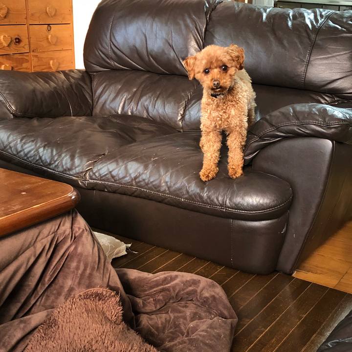 Ba97bcf8 a224 42c4 865d cd1a43d4a7c9 1552604224910