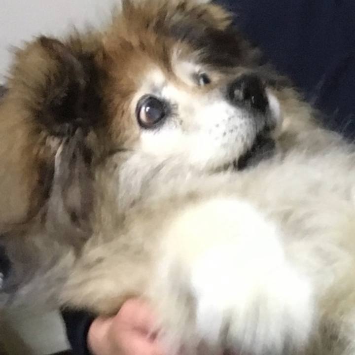 Ba97f459 495a 41a0 ae9d 96c453f4bb62 1570440519169