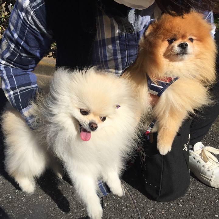 Ba98a548 4197 420f 8106 9e2ca399c200 1604981265560