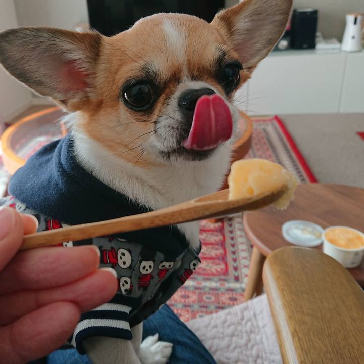 Ba98cbc4 5a0f 4089 82f4 beed6c929730 1614329204448