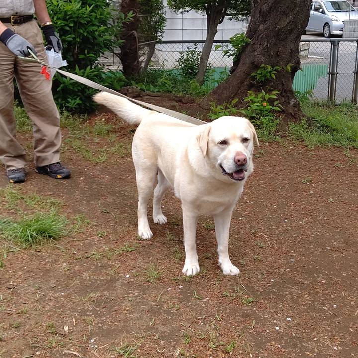 Ba98dc03 37c6 442b 950d 86f7f0a964e0 1650251276923