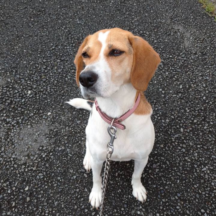 Ba98f2bf eb03 4930 9ec0 6b5b355ac62f 1594722043879