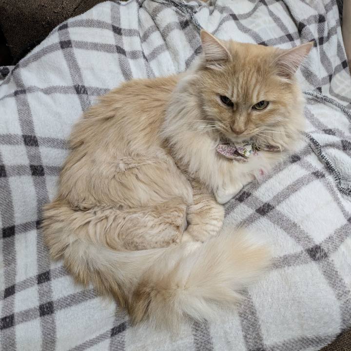 Ba992574 aec2 4f9a b962 9605fb585410 1774922616987