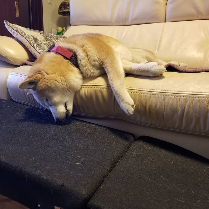 Ba993126 5700 4aa8 85a8 ac56b19cbfc8 1744669243802