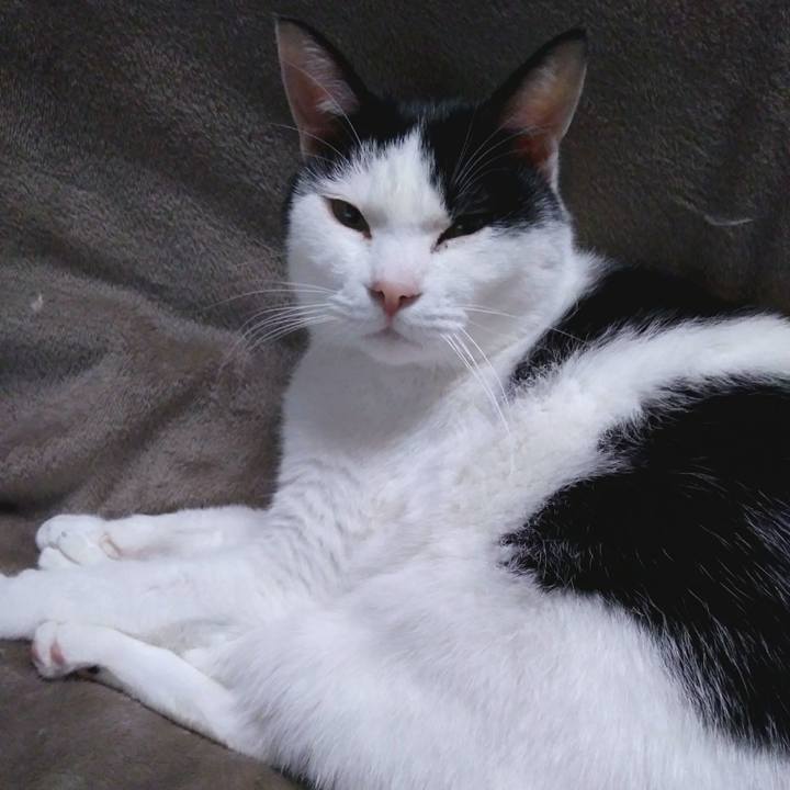 Ba99635e 2559 4e7d 96a6 ea09035f9a49 1551872218163