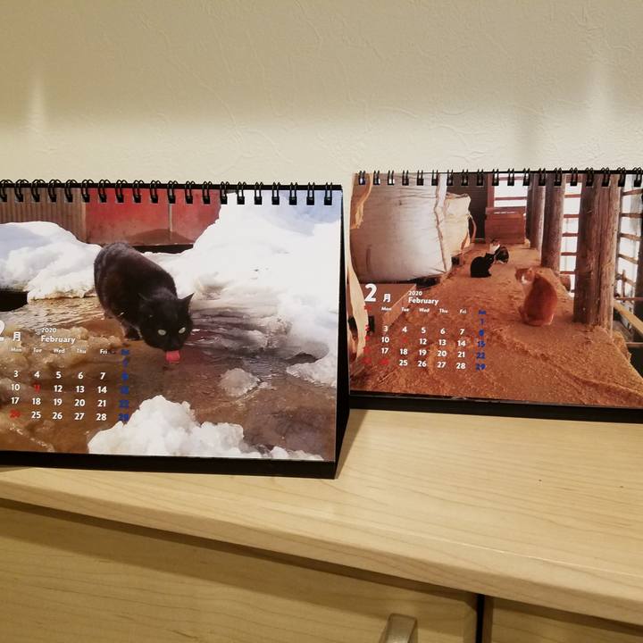 Ba99c648 ddb9 464e 9cfd cd8ef124d7df 1580509687235