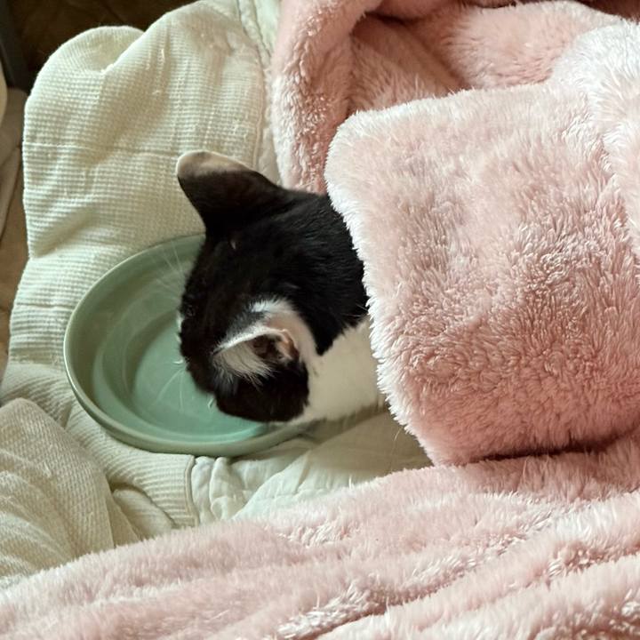 Ba99dafd e899 420b 953e a3f3bf478363 1762911244398