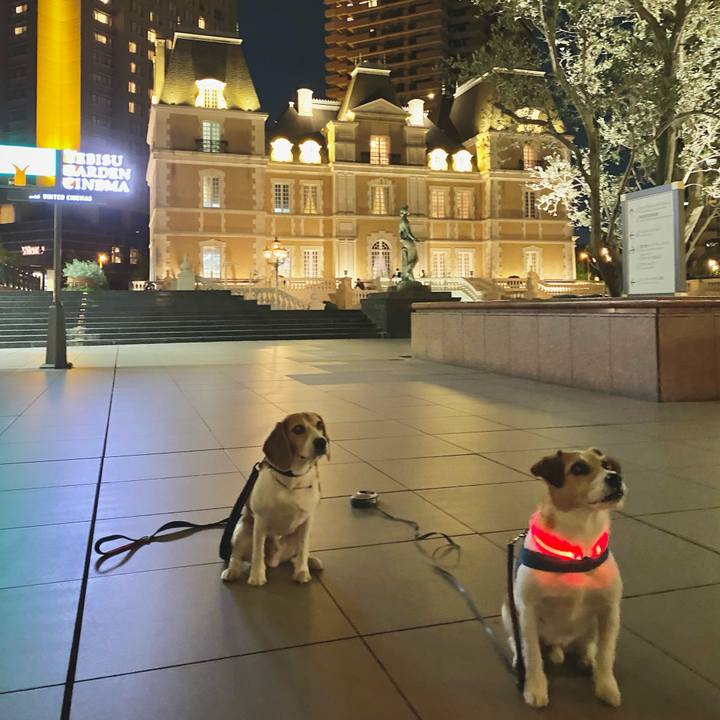 Ba99dd14 3c64 4f17 a421 d80515d8e28a 1683637943426