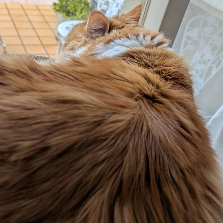 Ba9a14a1 95c4 4019 b838 45a4621f9bdd 1746860329049