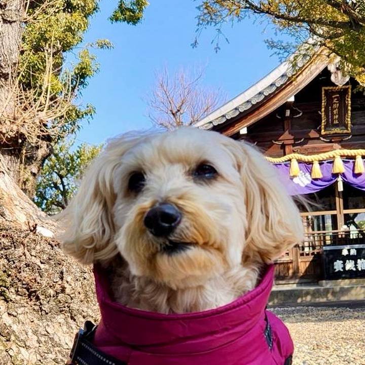 Ba9a47a3 afb8 485f a1bc 5b6a2d90c3ad 1770870115041