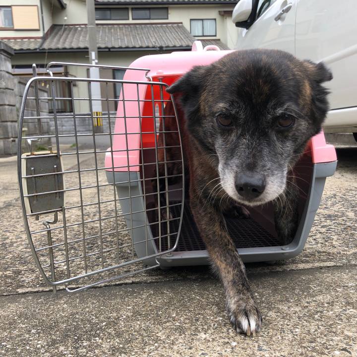 Ba9a6b05 19db 41bd 9249 d2888ee23bd3 1615289466471